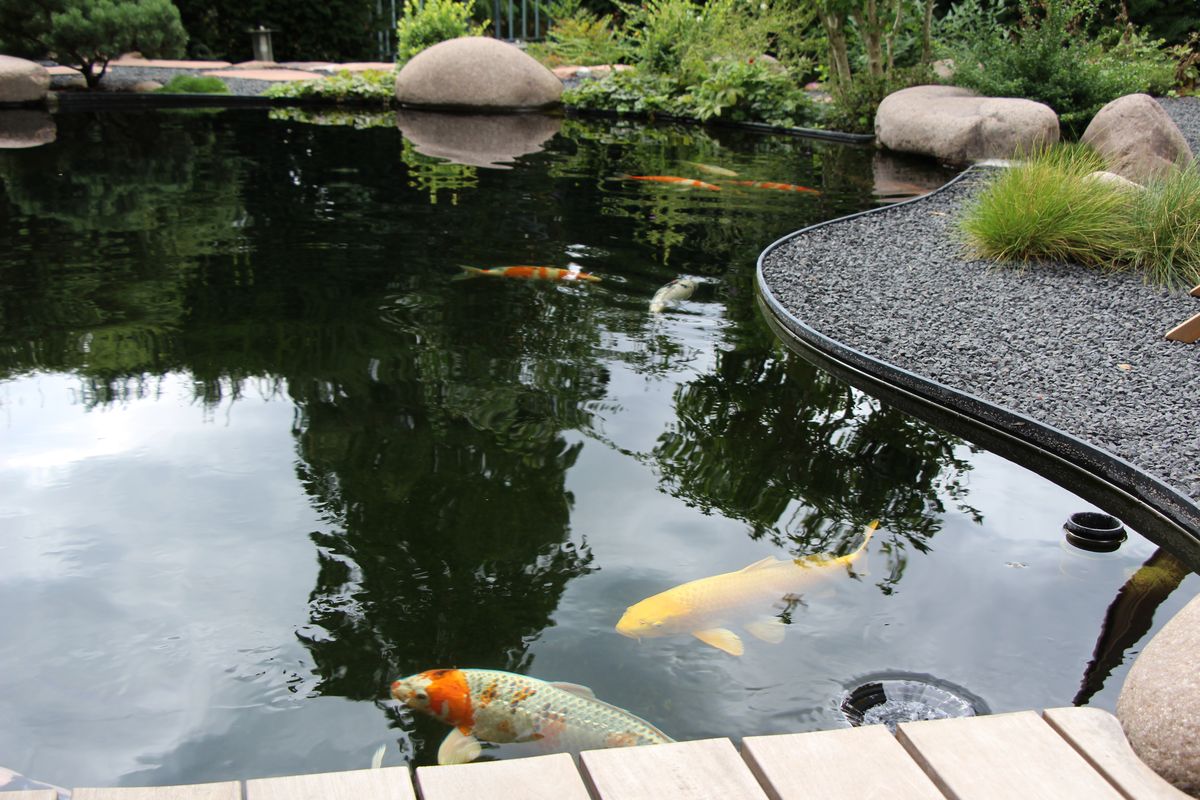 Teichanlage in Weinheim