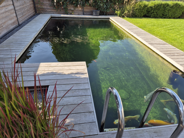 Koi-, und Schwimmteich ( Worms )